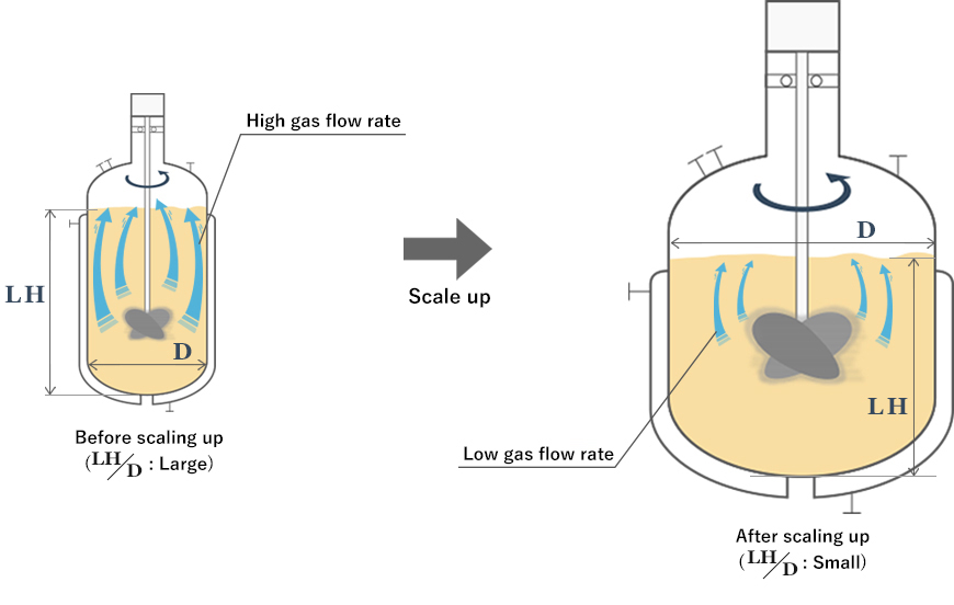 Scaling up focusing on the evaporation gas flow rate