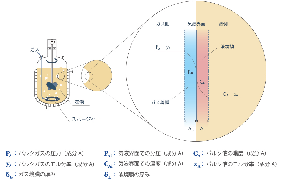 図3　ガス吸収での総括物質移動係数のイメージ